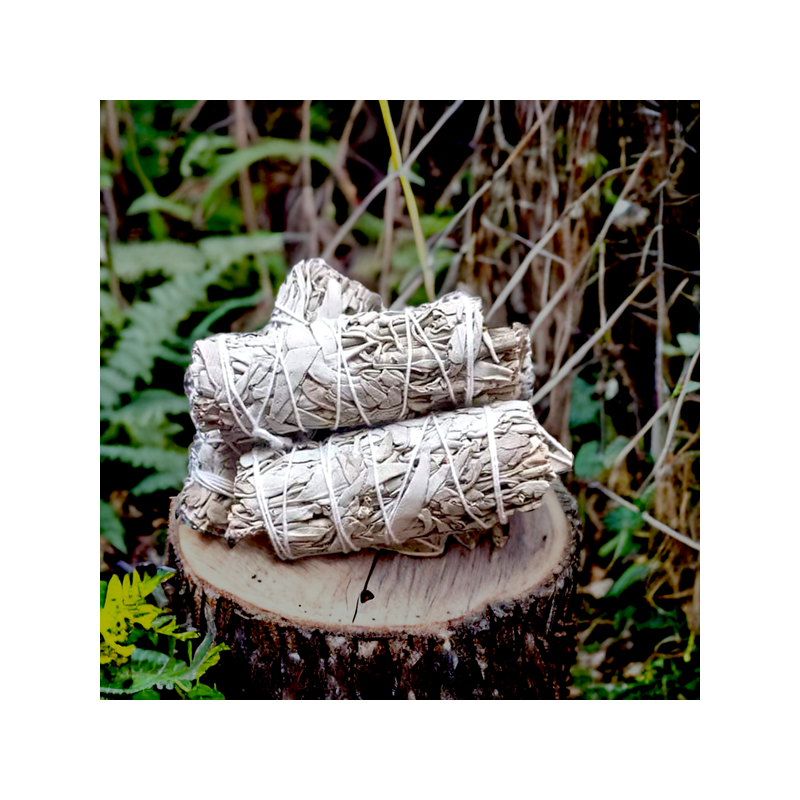 Sauge blanche - bâton de fumigation - Purification - Smudge
