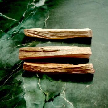 Bâtonnet de Palo Santo - Boutique ésotérique de La Malle Aux Sorcières 2