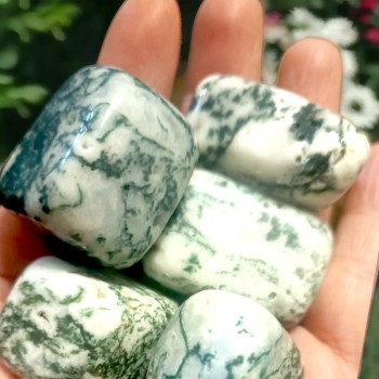 Agate arbre - Pierre roulée - Lithothérapie 2