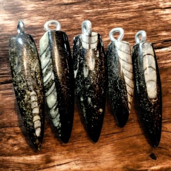 Pendentif Orthoceras - Pendentif fossile -Orthocéras 2