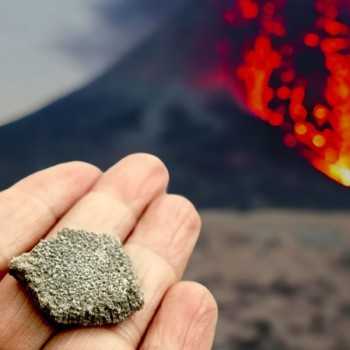 Fossile de Coquille d'œuf de dinosaure 2