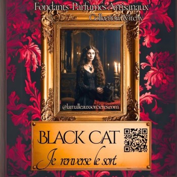 Fondants parfumés - Fondants parfumés de sorcière - Black cat - Fondants gothique -chat noir de sorcière