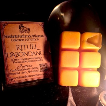Fondants parfumés abondance - Fondants parfumés de rituel - Fondants parfumés de sorcière 2
