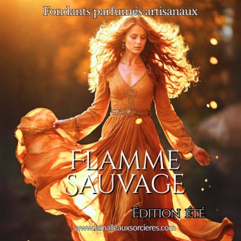 Fondant parfumé Flamme Sauvage – senteur solaire intense, création artisanale La Malle aux Sorcières. 2