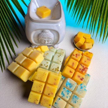 Pack Été des Sorcières | Brûleur Bouddha – Fondants Parfumés Magiques