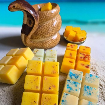 Pack fondants été + brûleur serpent – Rituel sorcière transformation