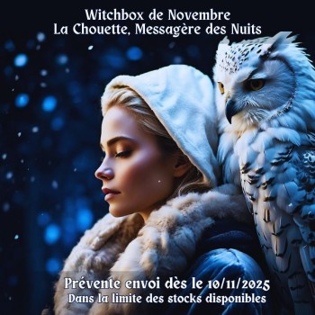 witchbox novembre la chouette messagère des nuits - coffret ésotérique bleu nuit - La Malle Aux Sorcières