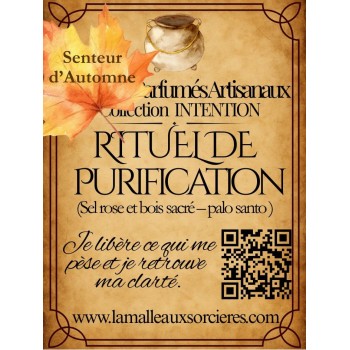 Fondant Rituel de Purification au palo santo et sel d’Himalaya – nettoyage énergétique et paix intérieure 2