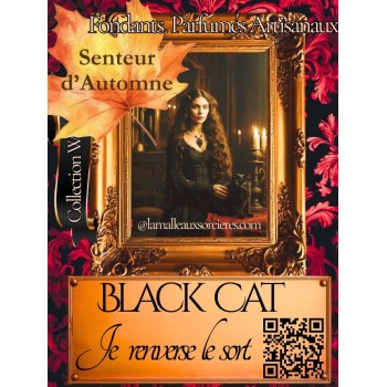 Fondants parfumés - Fondants parfumés de sorcière - Black cat - Fondants gothique -chat noir de sorcière 2