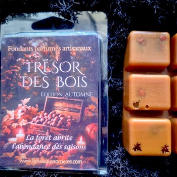 Fondants parfumés - Collection Senteurs d'Automne -