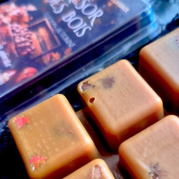 Fondants parfumés - Collection Senteurs d'Automne - 2