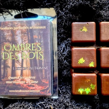 Fondants parfumés Ombres des Bois - Collection senteurs d'Automne