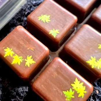 Fondants parfumés Ombres des Bois - Collection senteurs d'Automne 2