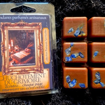 Rituel écriture livres des ombres - Grimoire de Sorcière - La Malle Aux Sorcières 2