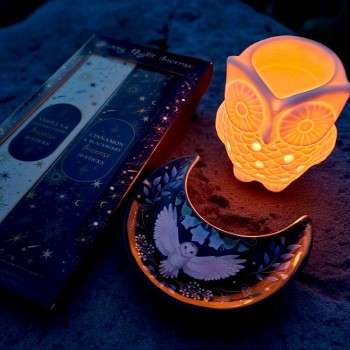 witchbox novembre la chouette messagère des nuits - coffret ésotérique bleu nuit - La Malle Aux Sorcières 2