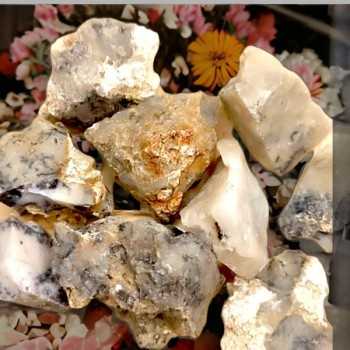 Agate Dentritique 2
