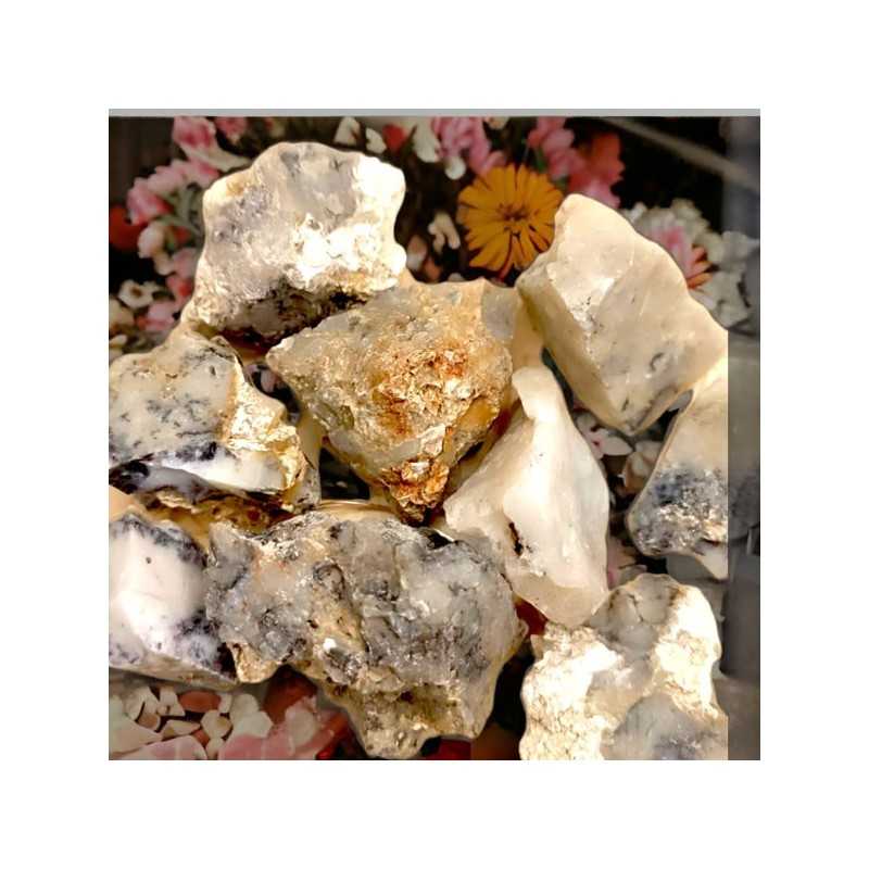 Agate Dentritique - Lithothérapie en ligne - Pierres brutes
