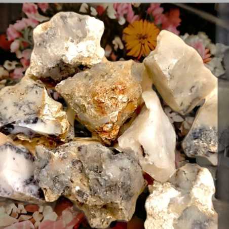 Agate Dentritique - Lithothérapie en ligne - Pierres brutes