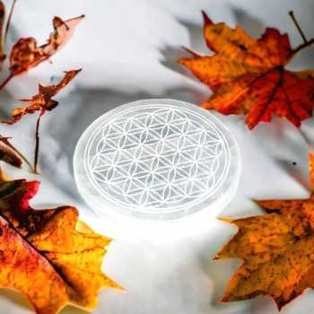 Plaque de rechargement - Fleur de vie en sélénite - Lithothérapie en ligne
