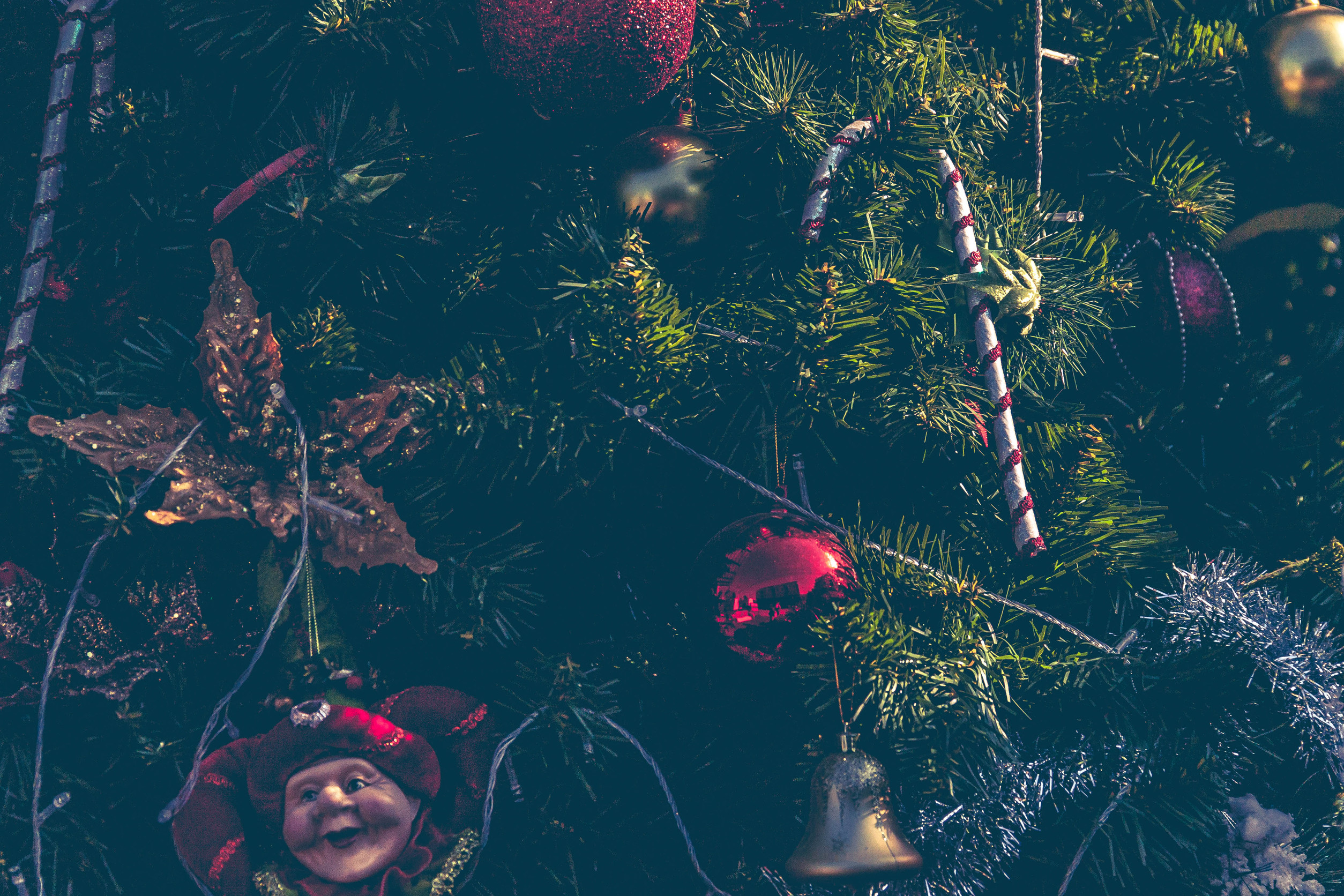 Yule - Boutique ésotérique de La Malle Aux Sorcières