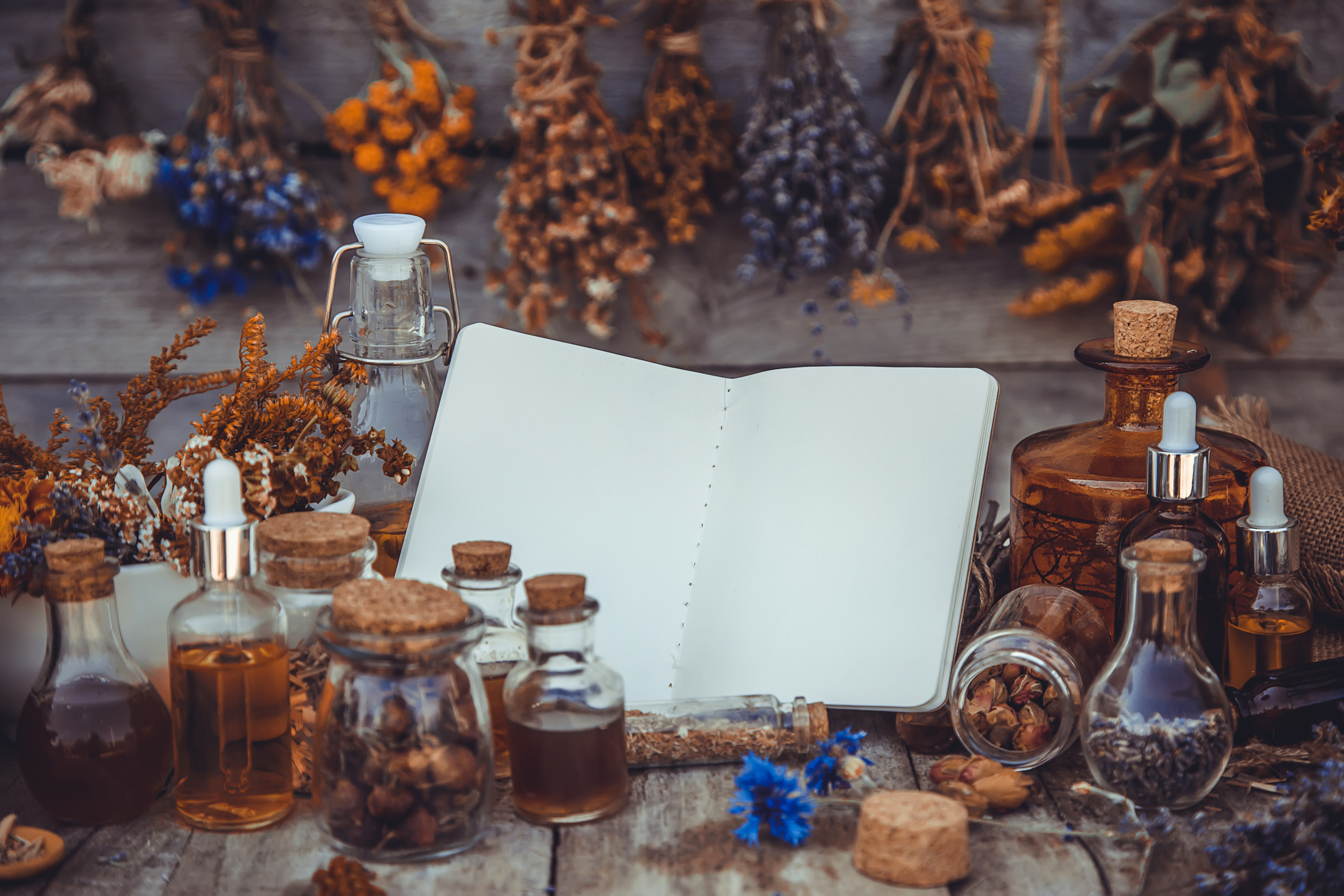 Boutique ésotérique de La Malle Aux Sorcières