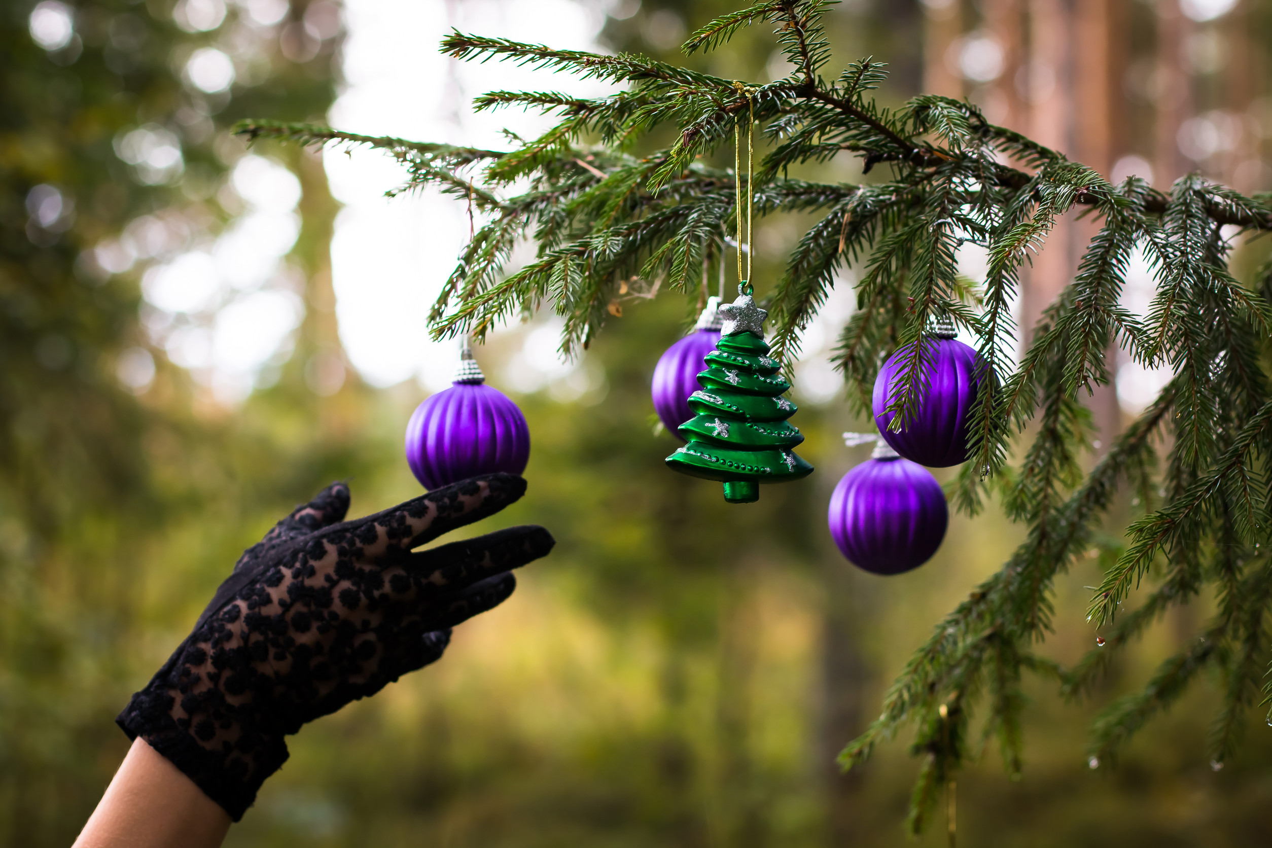 Yule - Boutique ésotérique de La Malle Aux Sorcières