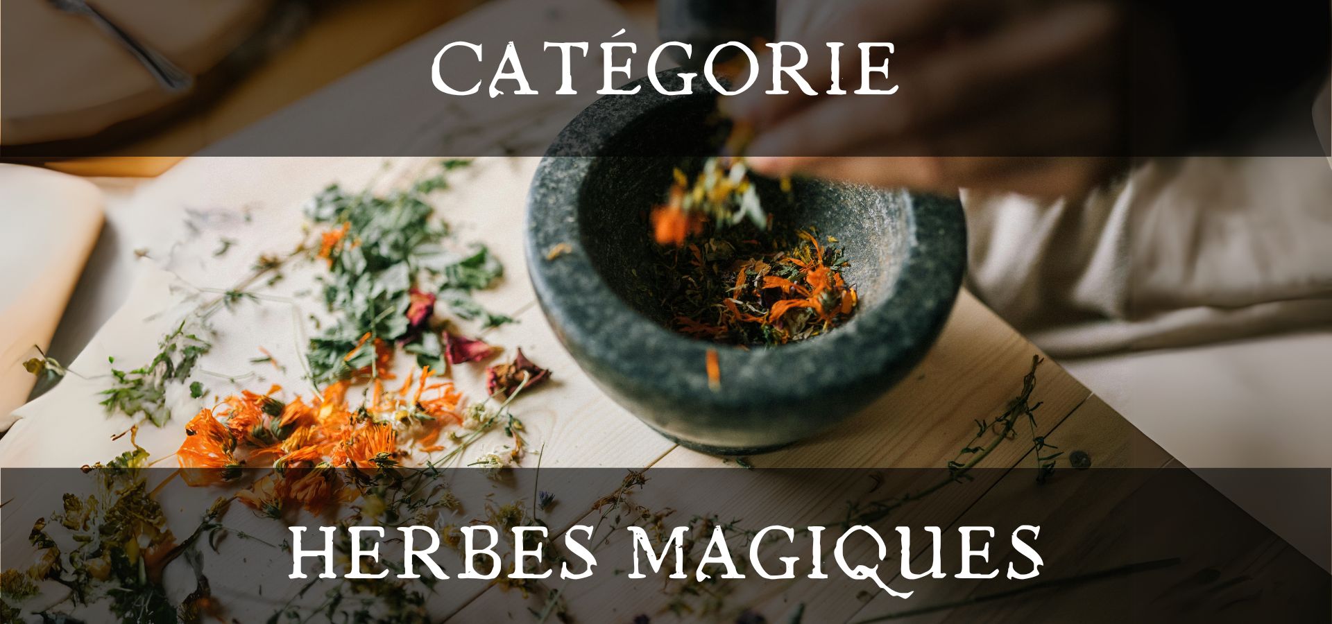 Herbes magiques - Boutique ésotérique en ligne - La Malle Aux Sorcières