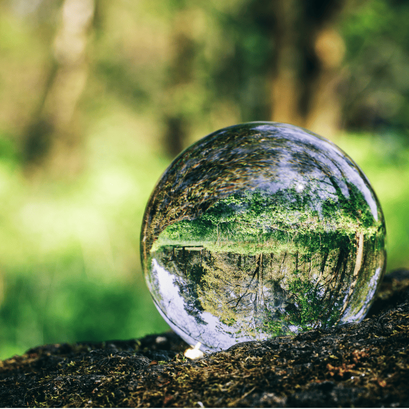 Divination et arts divinatoires