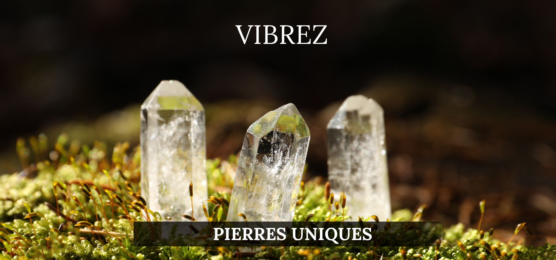 La Malle aux Sorcières