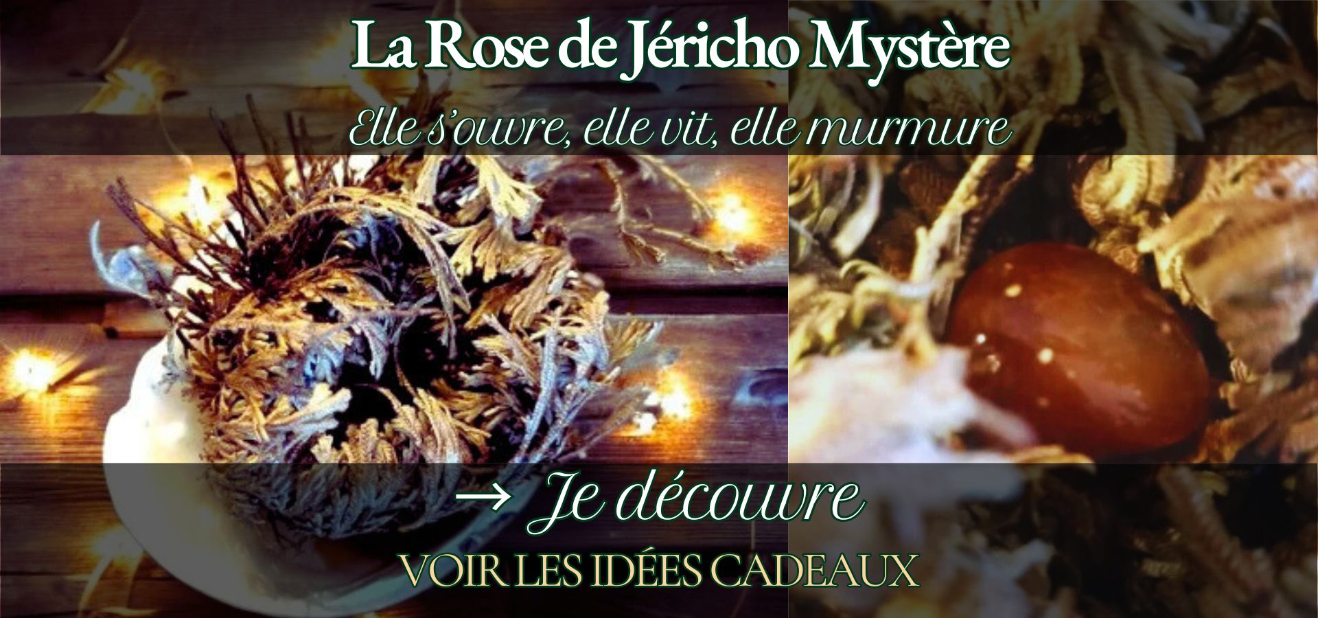 La  Malle Aux Sorcières